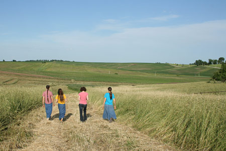 A summer evening walk with friends