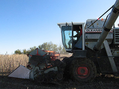 Daniel and Rachel combining soybeans