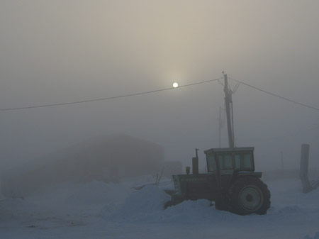 A foggy February morning