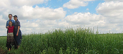 Abigail, Lydia, and Rachel in the rye field, May 2005.