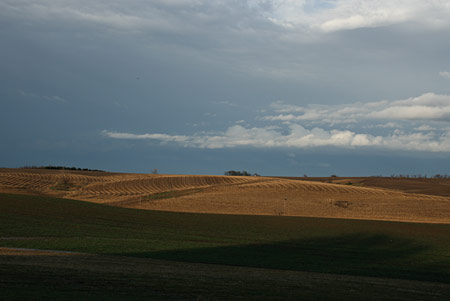 The golden light after the storm...