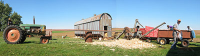 Panoramic shot of shelling corn.