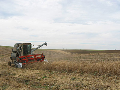 Combining the 2006 soybean crop