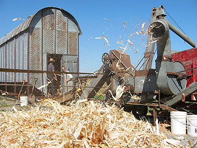 Shelling corn, September 2005