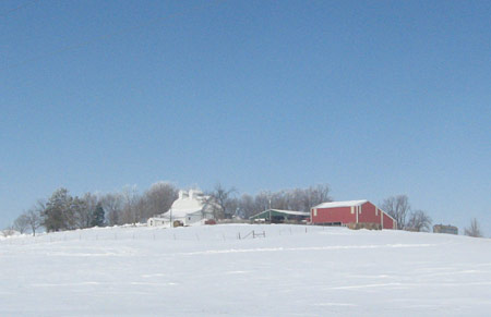 Southern view of the farm, February 2008
